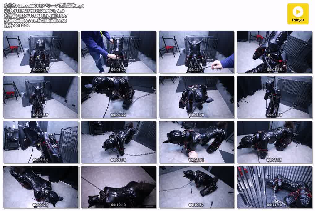 Lemon0001 k9バルーン口枷調教.jpg