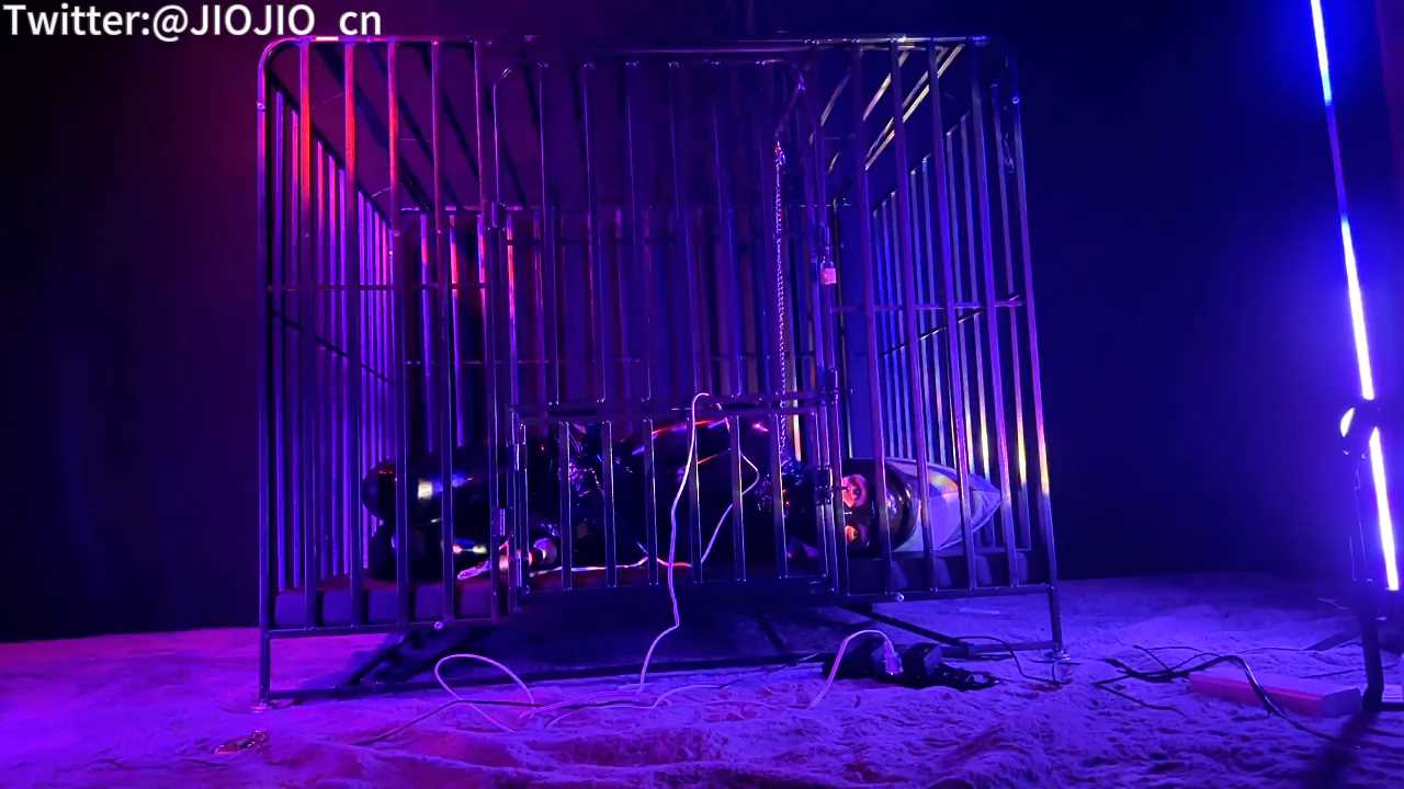 JIOJIO0042.mp4_snapshot_03.03_[2025.03.18_11.49.33].jpg