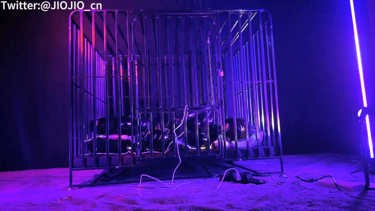 JIOJIO0042.mp4_snapshot_13.32_[2025.03.18_11.49.34].jpg