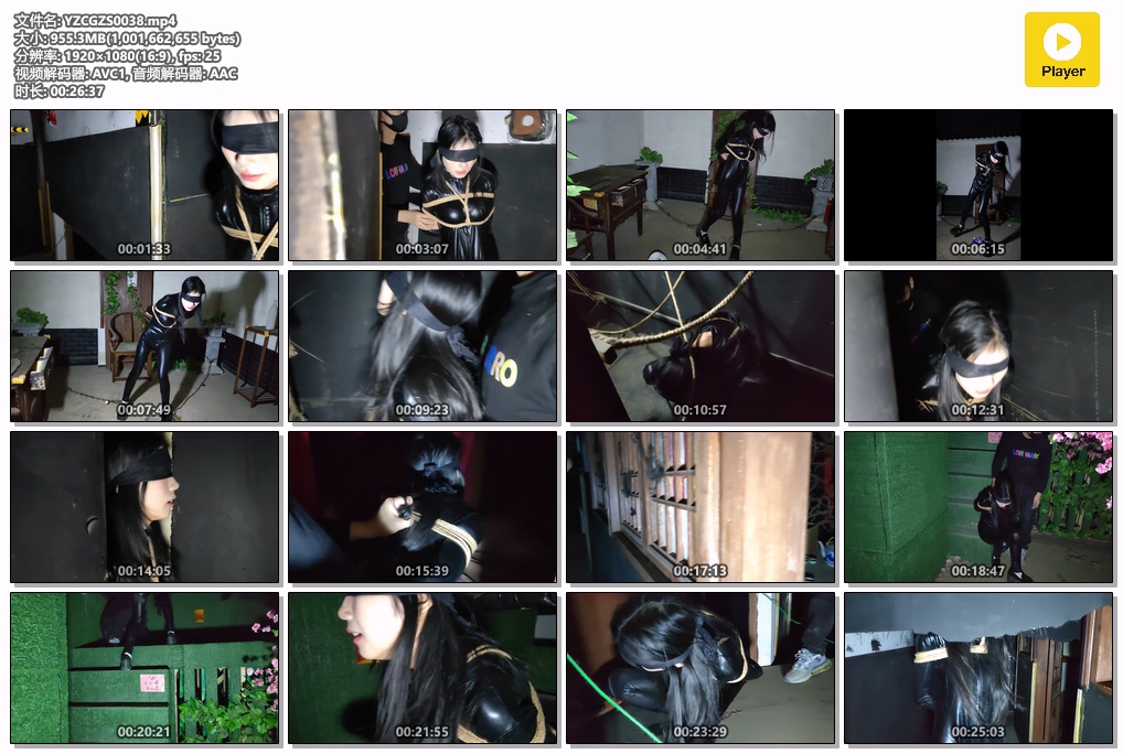 YZCGZS0038.jpg