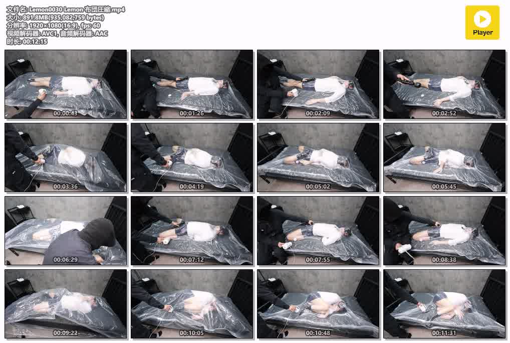 Lemon0030 Lemon 布団圧縮.jpg