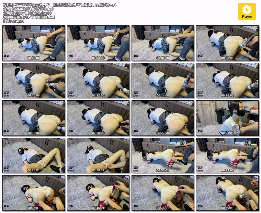 YCGZS0135 雨辰 绑 小Gou的日常 内衣捆绑 K9调教 羞辱 哭泣求饶.mp4.jpg