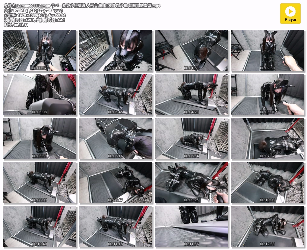 Lemon0044 Lemon ラバー拘束歩行訓練 人形犬 拘束 口球 跑步机 项圈狗链羞辱.mp4.jpg