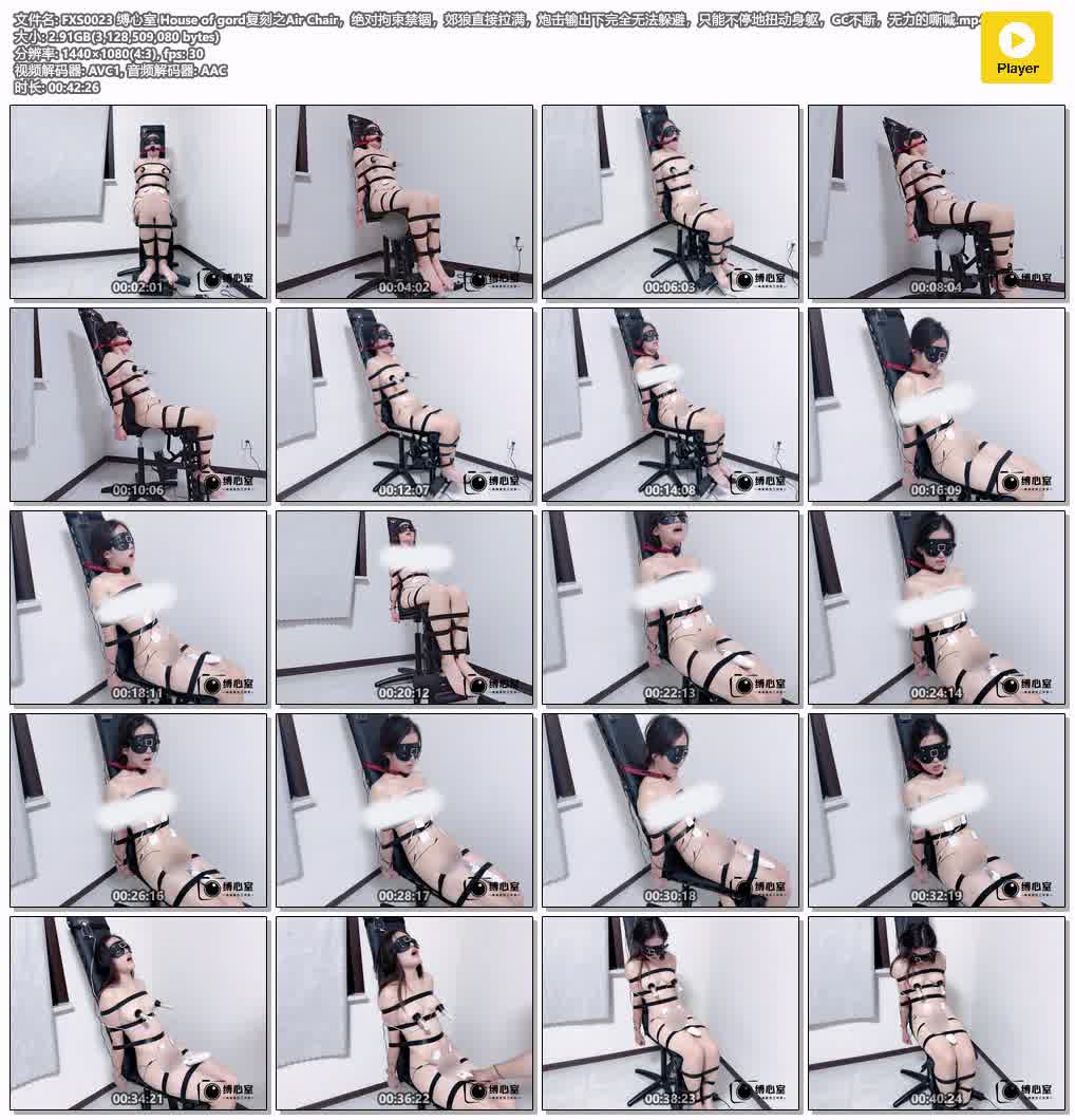 FXS0023【缚心室】House of gord复刻之Air Chair 绝对拘束禁锢 郊狼直接拉满 炮击输出.jpg