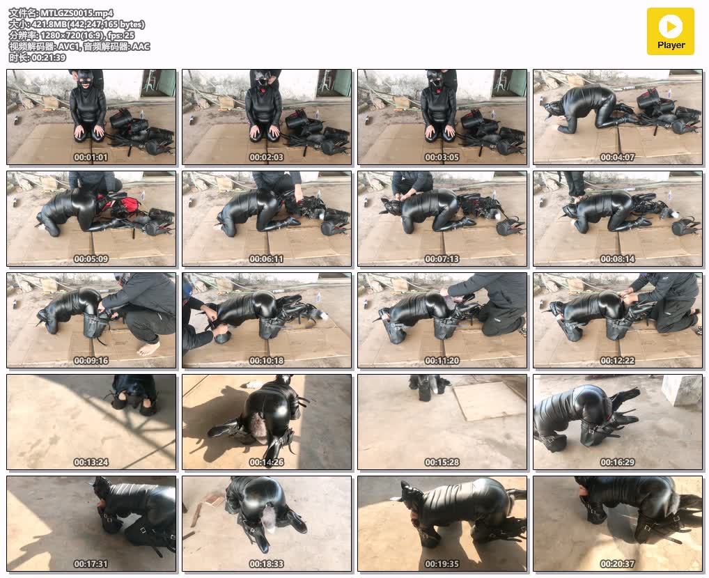 MTLGZS0015【曼陀罗工作室】屋顶遛狗还是皮具拘束风格.jpg