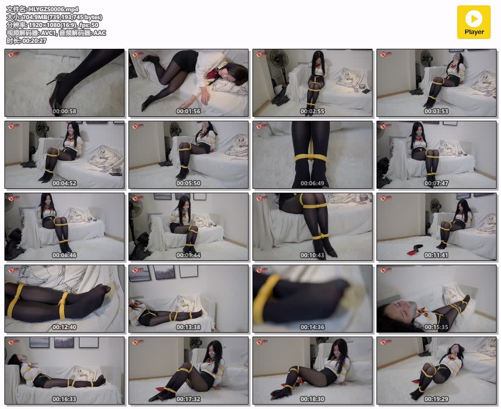 HLYGZS0006【红鲤鱼工作室】无限公司的面试.jpg