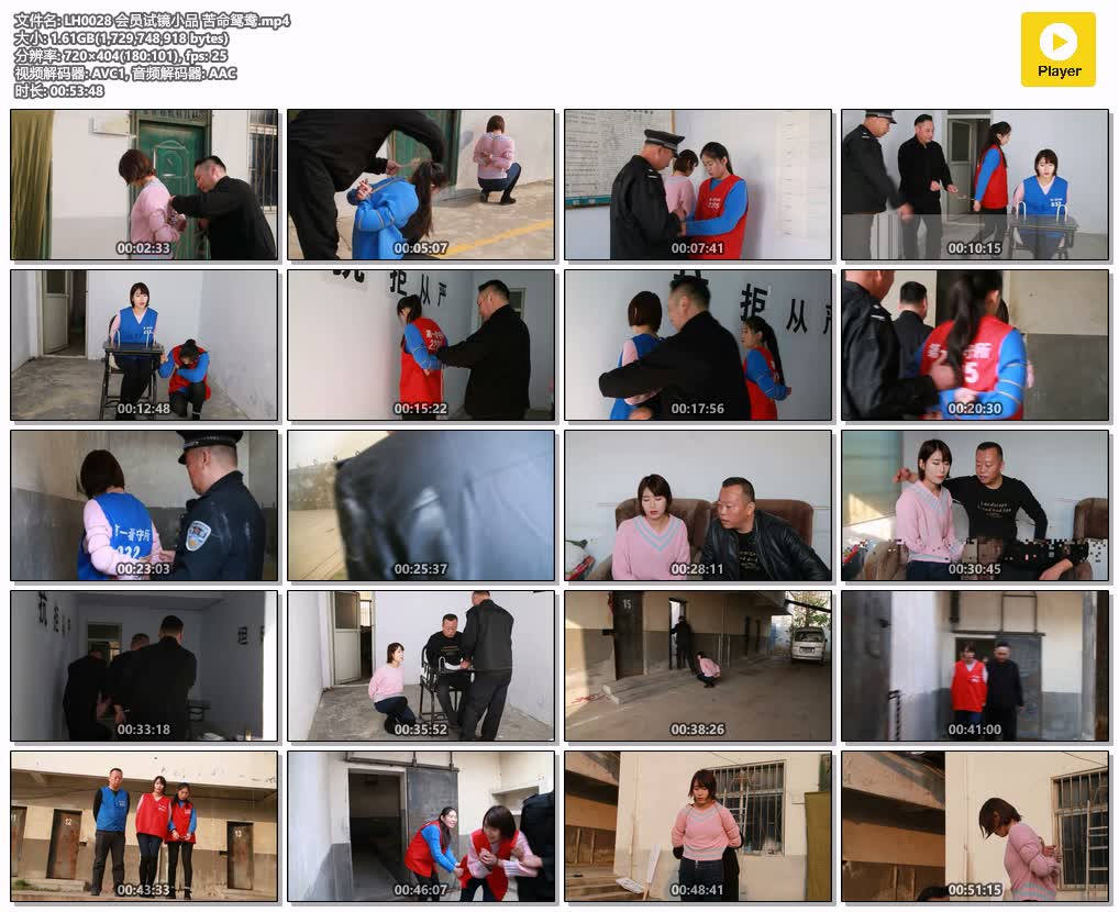 LH0028【梨花雨】会员试镜小品 苦命鸳鸯.jpg