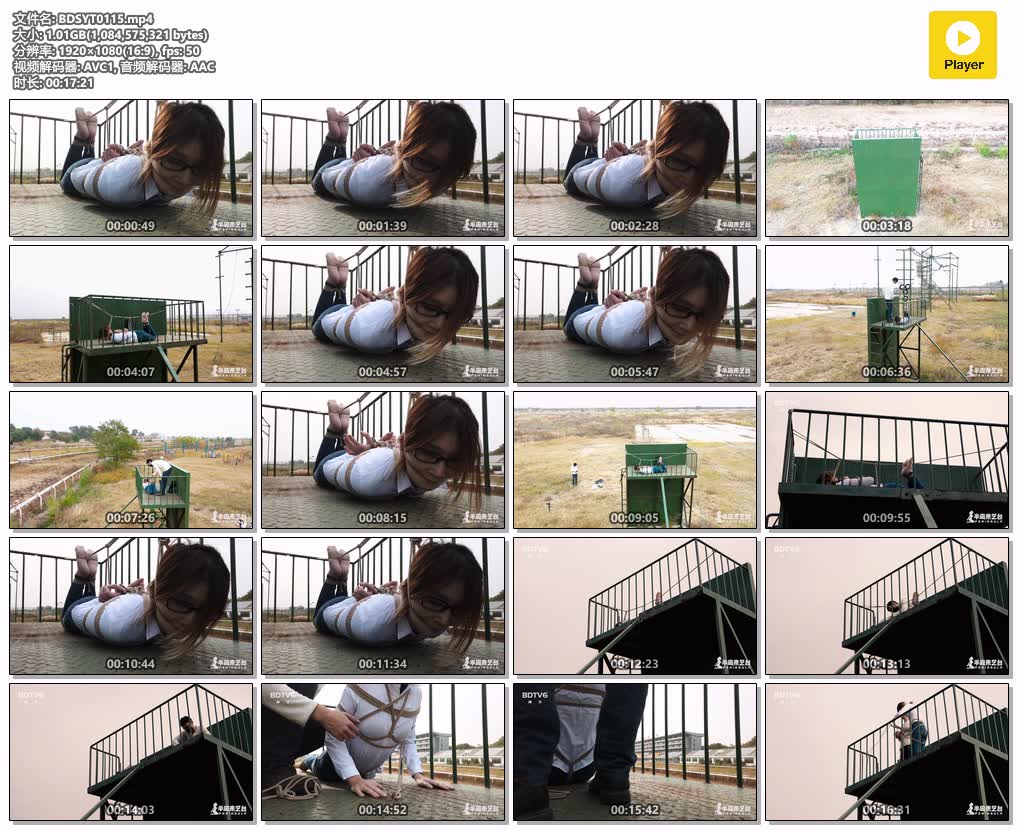 BDSYT0115【半岛束艺台】鹿野游乐园计划01 高处不胜寒.jpg