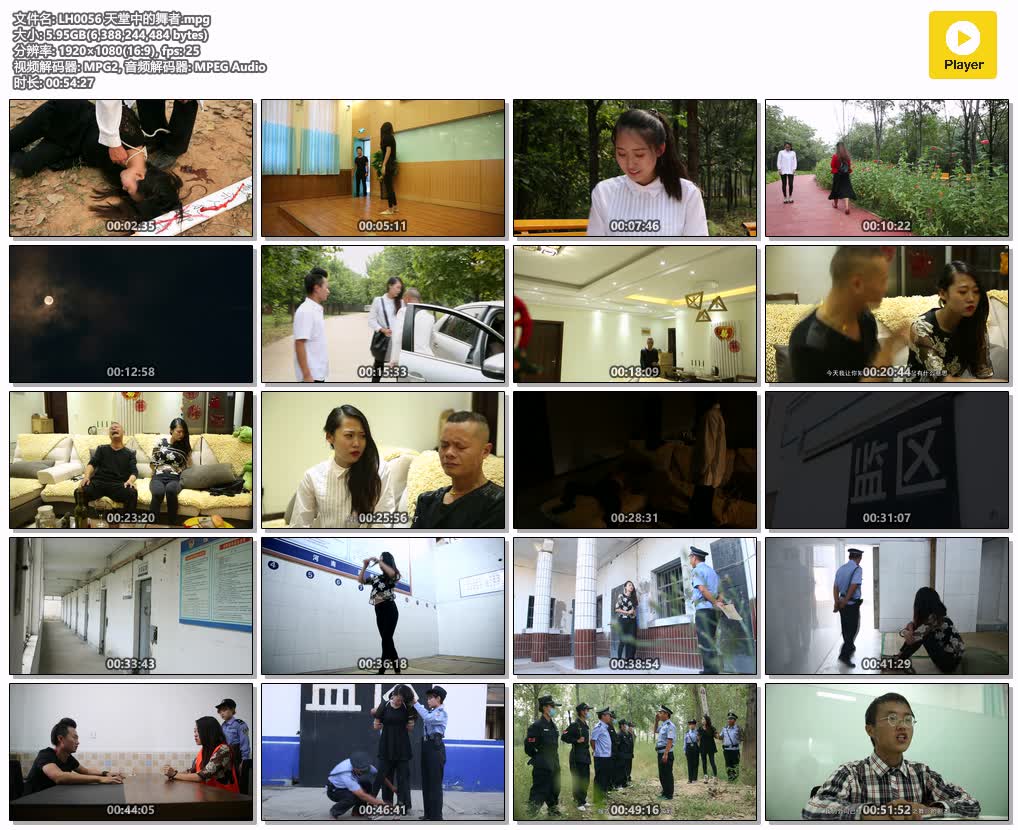 LH0056【梨花雨】天堂中的舞者.jpg