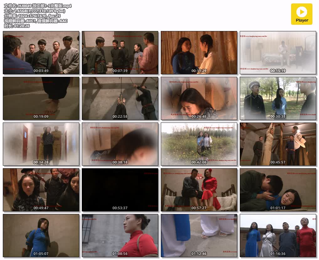 HJ0049【怀旧影苑】敌工部1-5集 完整版.jpg