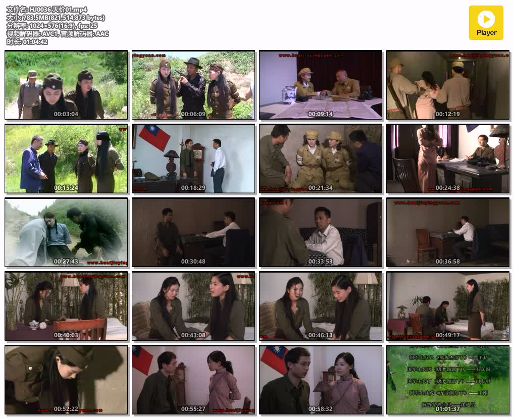 HJ0036【怀旧影苑】天价 第1集.jpg