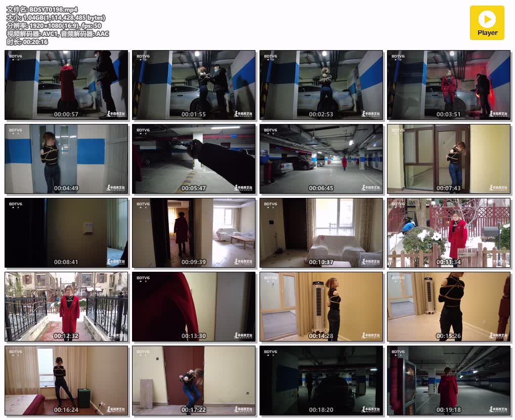 BDSYT0198【半岛束艺台】鹿野车库冒险.jpg