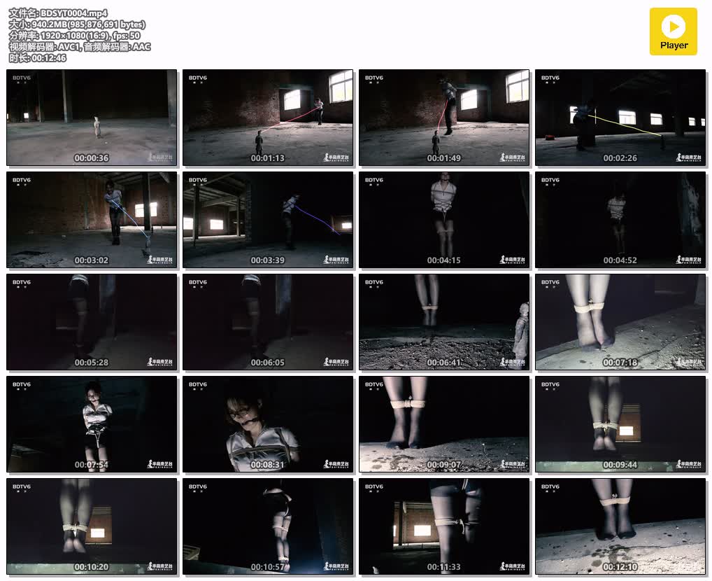 BDSYT0004【半岛束艺台】古墓丽影 下集.jpg