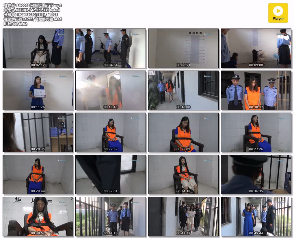 LH0045【梨花雨】网骗伏法记 下集.jpg