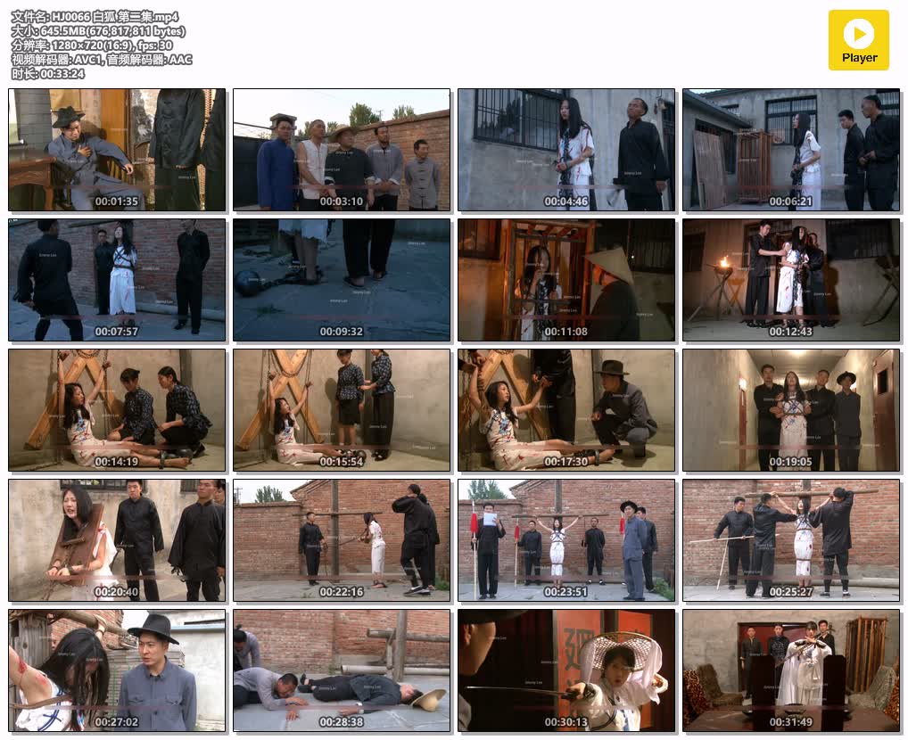 HJ0066【怀旧影苑】白狐 第2集.jpg