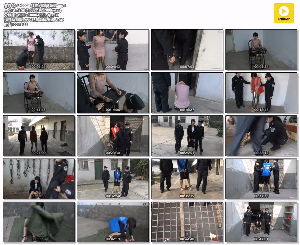 LH0026【梨花雨】红袖斜翻翠黛愁.jpg