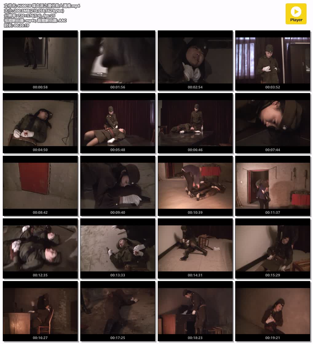 HJ0010【怀旧影苑】喋血派之潜伏救人遇难.jpg
