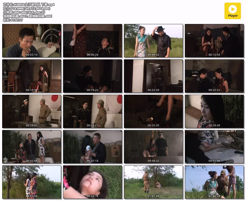 HJ0054【怀旧影苑】女子敢死队 下集.jpg