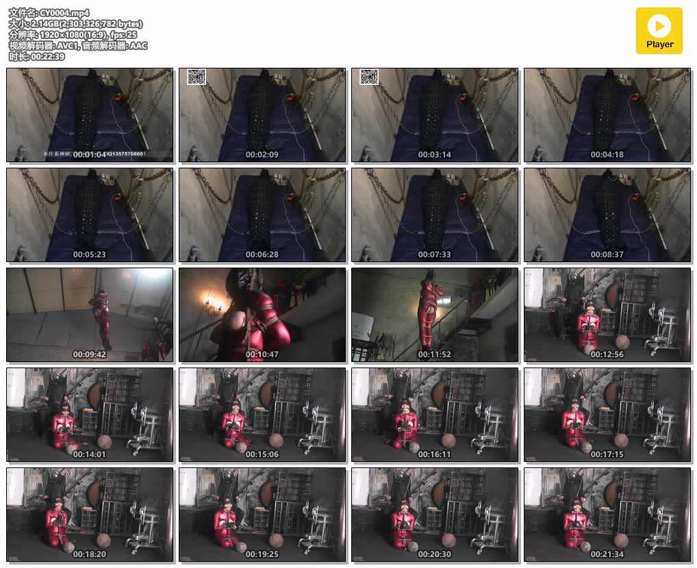 CY0004【禅狱工作室】D乳新剪.jpg