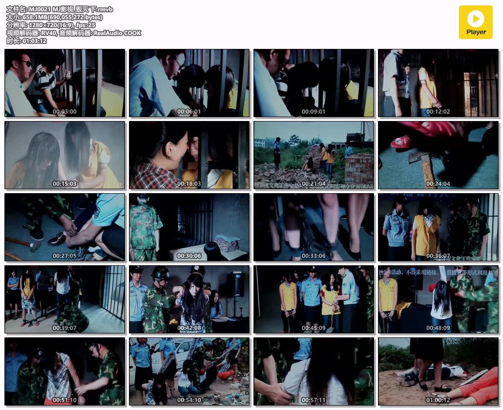 MJ0021【MJ影视】毁灭 下集.jpg