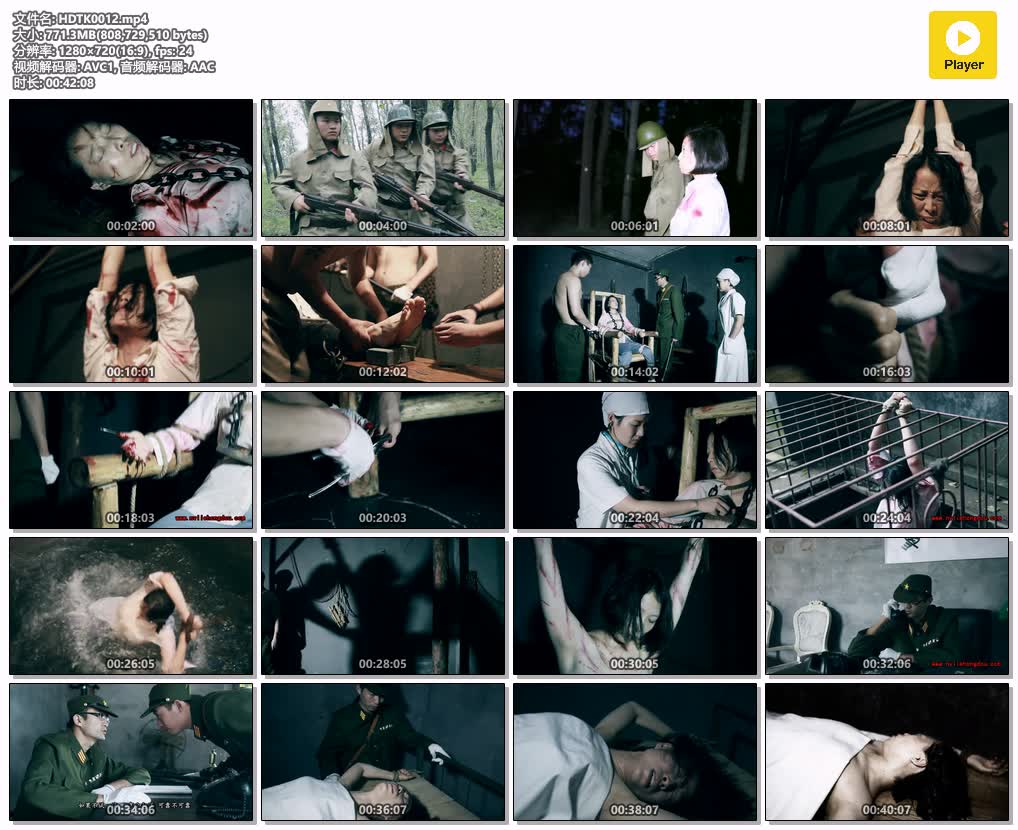 HDTK0012【红豆的天空】抗联女政委 上集 东方月 小雅.jpg