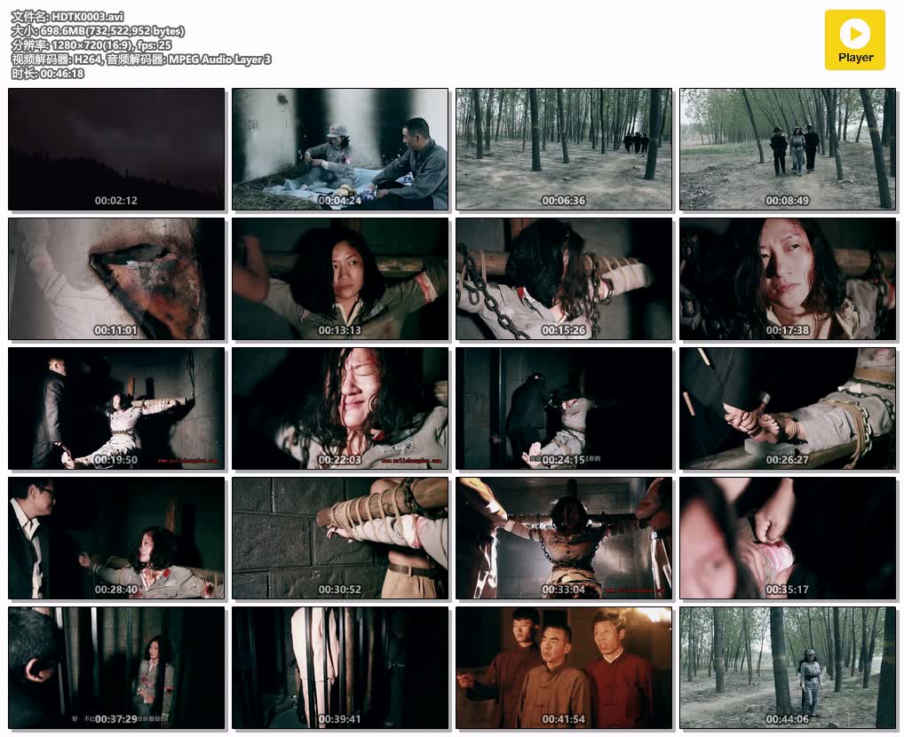 HDTK0003【红豆的天空】映山红 红豆.jpg