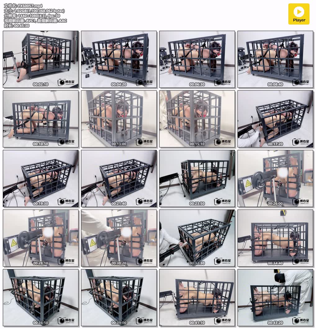 FXS0057【缚心室】大胸小美女体验笼中缚 后手直臂吊在笼中 肛钩拉紧强制抬头 完全无法.jpg