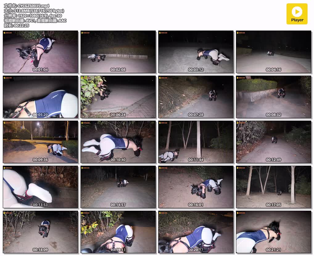 CYCGZS0035【长颜草工作室】公园里的人形犬 霜喵k9户外遛狗式爬行调教 sp 抚摸 死库水.jpg