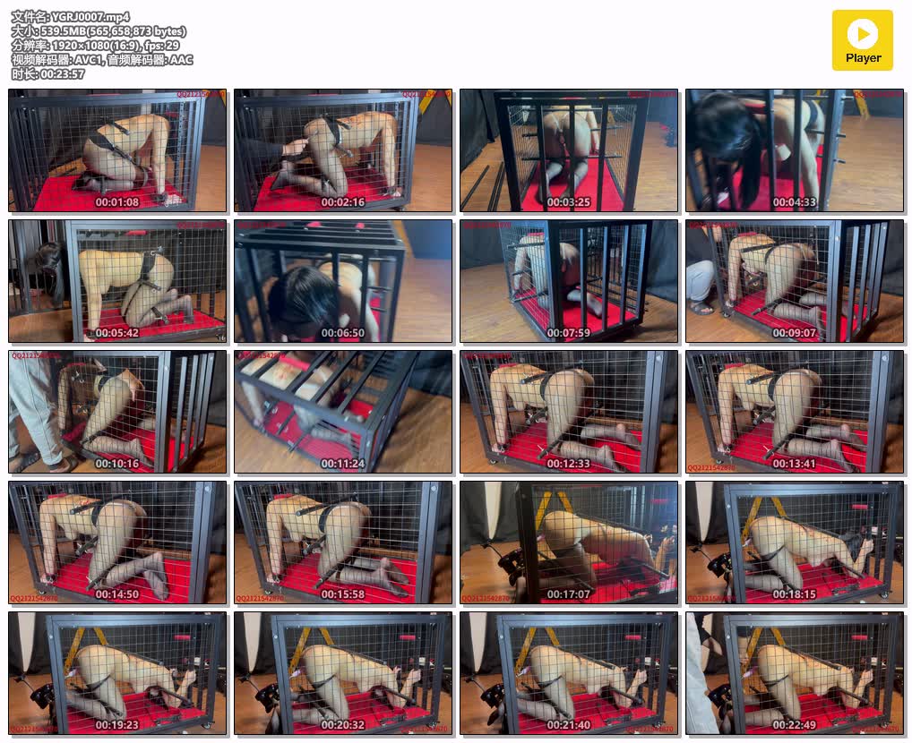 YGRJ0007【悦感日记】小美狗笼囚禁强制pao击 滴蜡 多时间囚禁 全程惨叫 直接虚脱.jpg