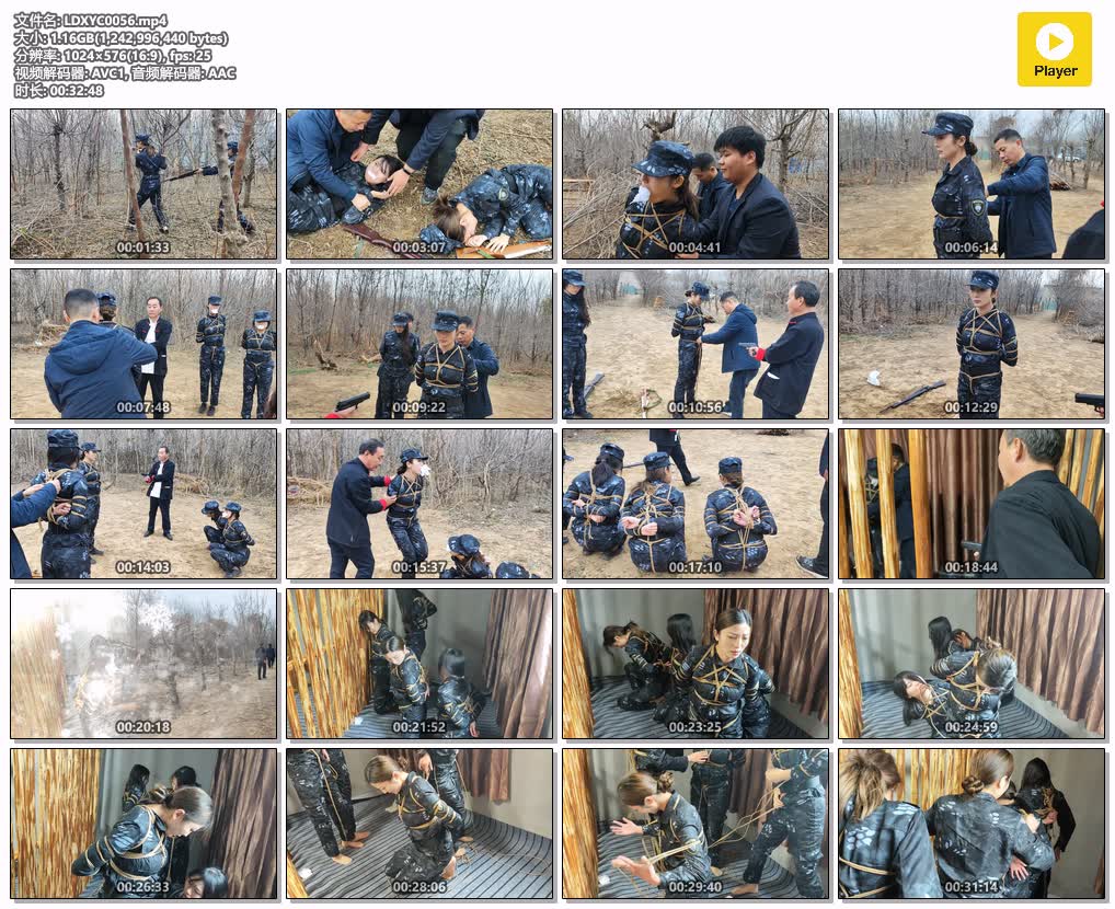 LDXYC0056【李大侠原创】特战行动 上集.jpg