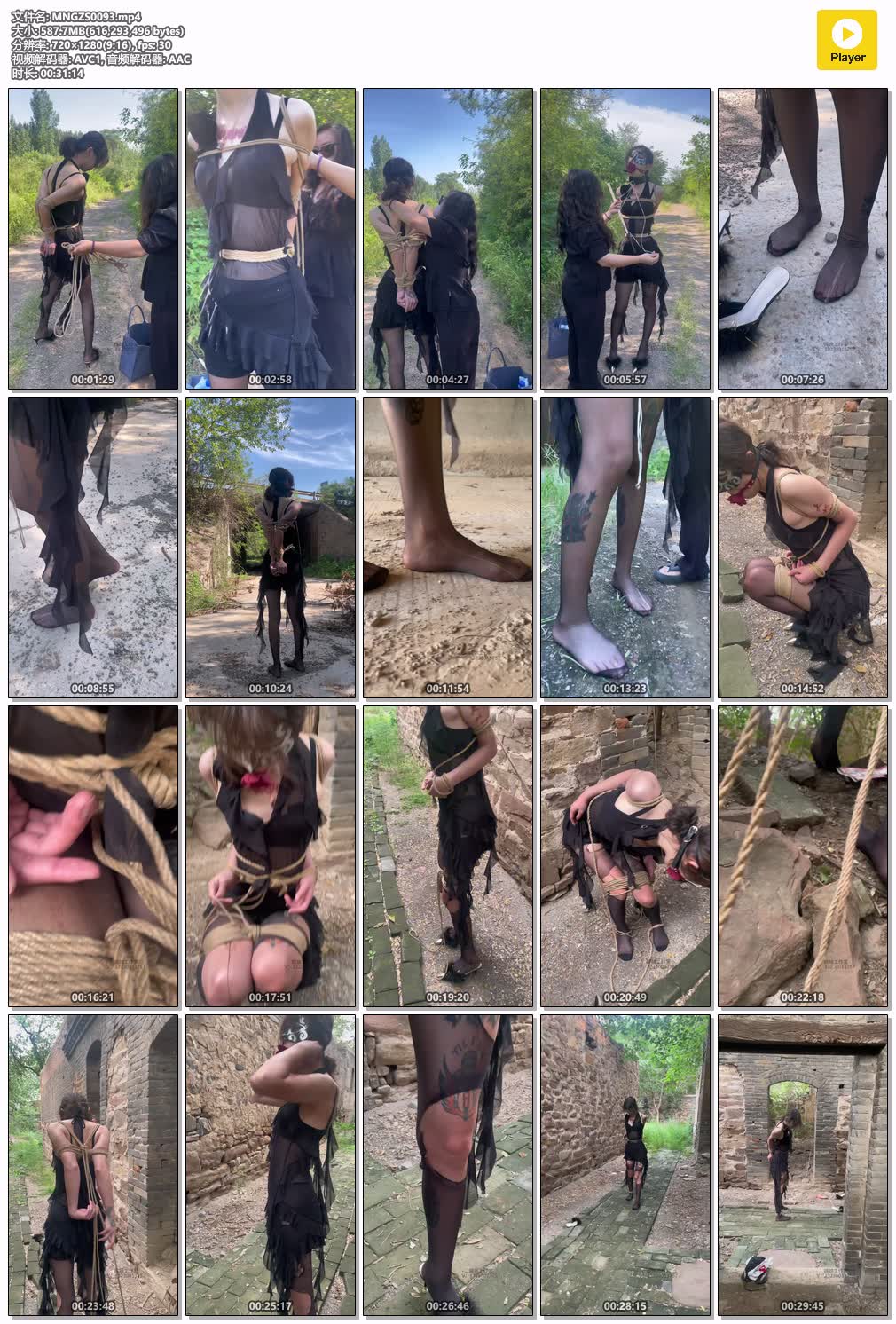 MNGZS0093【媚娘工作室】来自圈内女王的挑衅 第一部.jpg