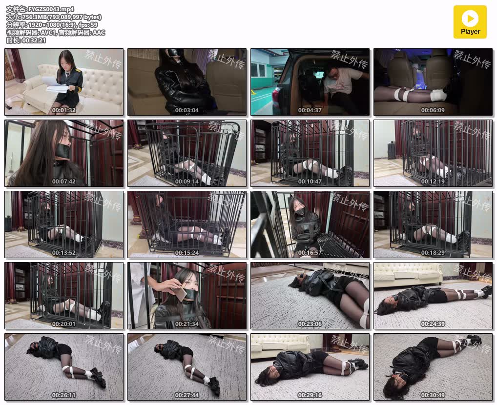 FYGZS0043【枫叶工作室】惊魂影视公司之落入全套的女明星 上集.jpg