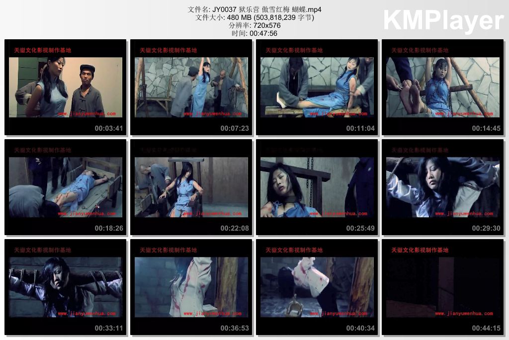 JY0037【狱乐营】傲雪红梅 蝴蝶.jpg