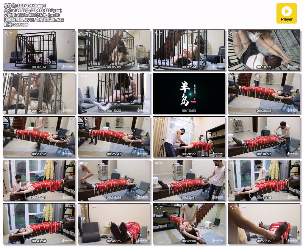 BDSYT0340【半岛束艺台】俩神兽干废一个笼子 这次终于不用旗袍了.jpg