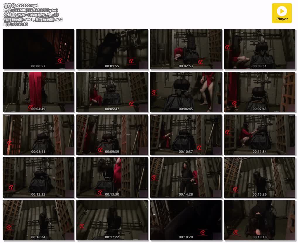 CY0100【禅狱工作室】小私苦难历程 五.jpg