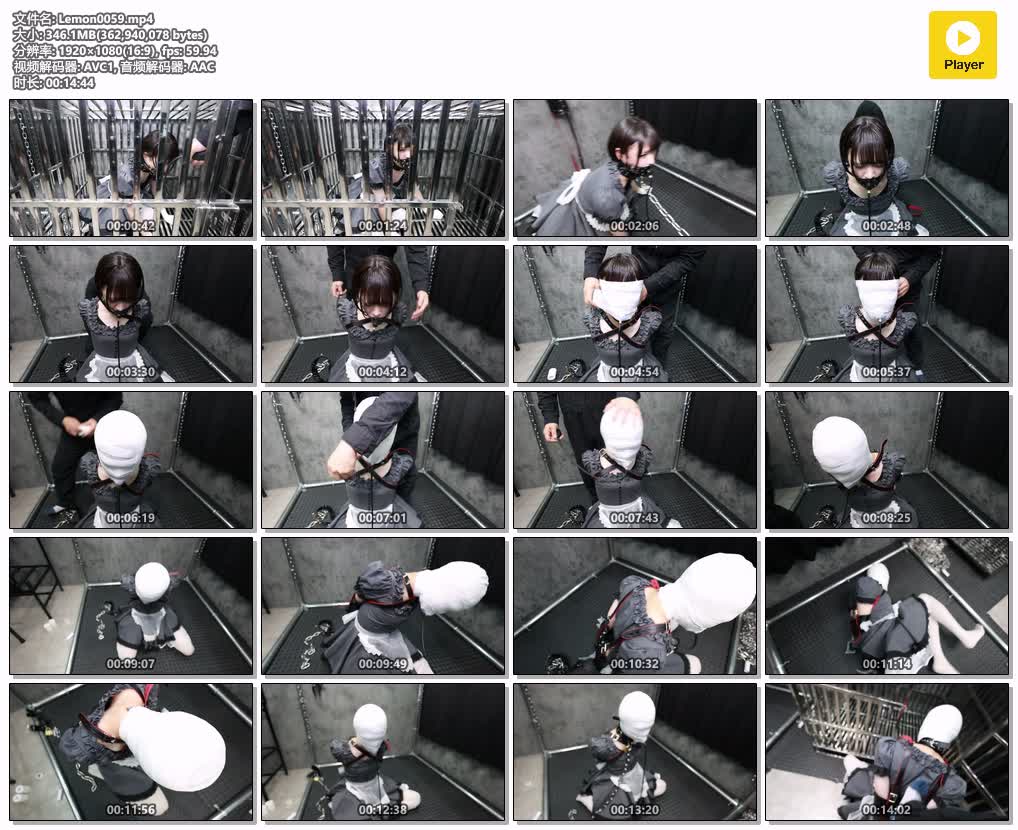 Lemon0059【D＠Lemon原创】メイド顔面包帯拘束バルーン責め.jpg