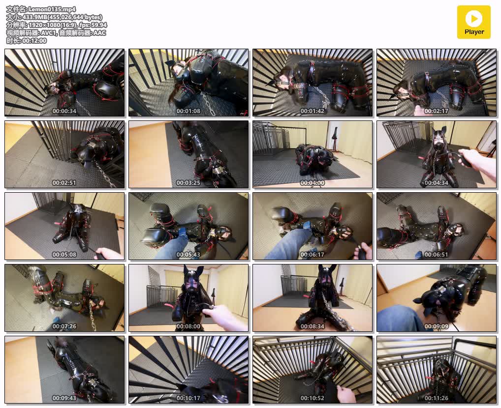 Lemon0135【D＠Lemon原创】ヒトイヌ拘束監禁調教.jpg