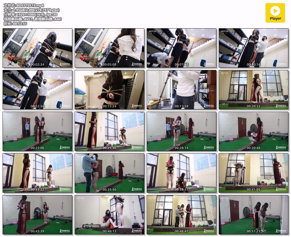 BDSYT0515【半岛束艺台】再不取个外卖 狭路相逢智者胜两部合集.jpg