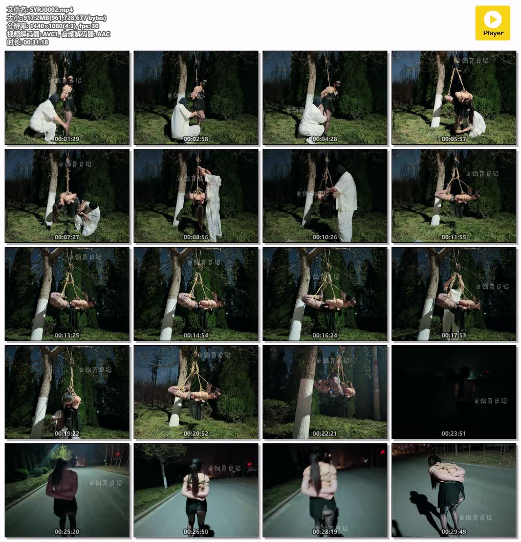 SYRJ0002【饲育日记】小狗の浅尝露出 月黑风高的夜 挂在树上的狗.jpg