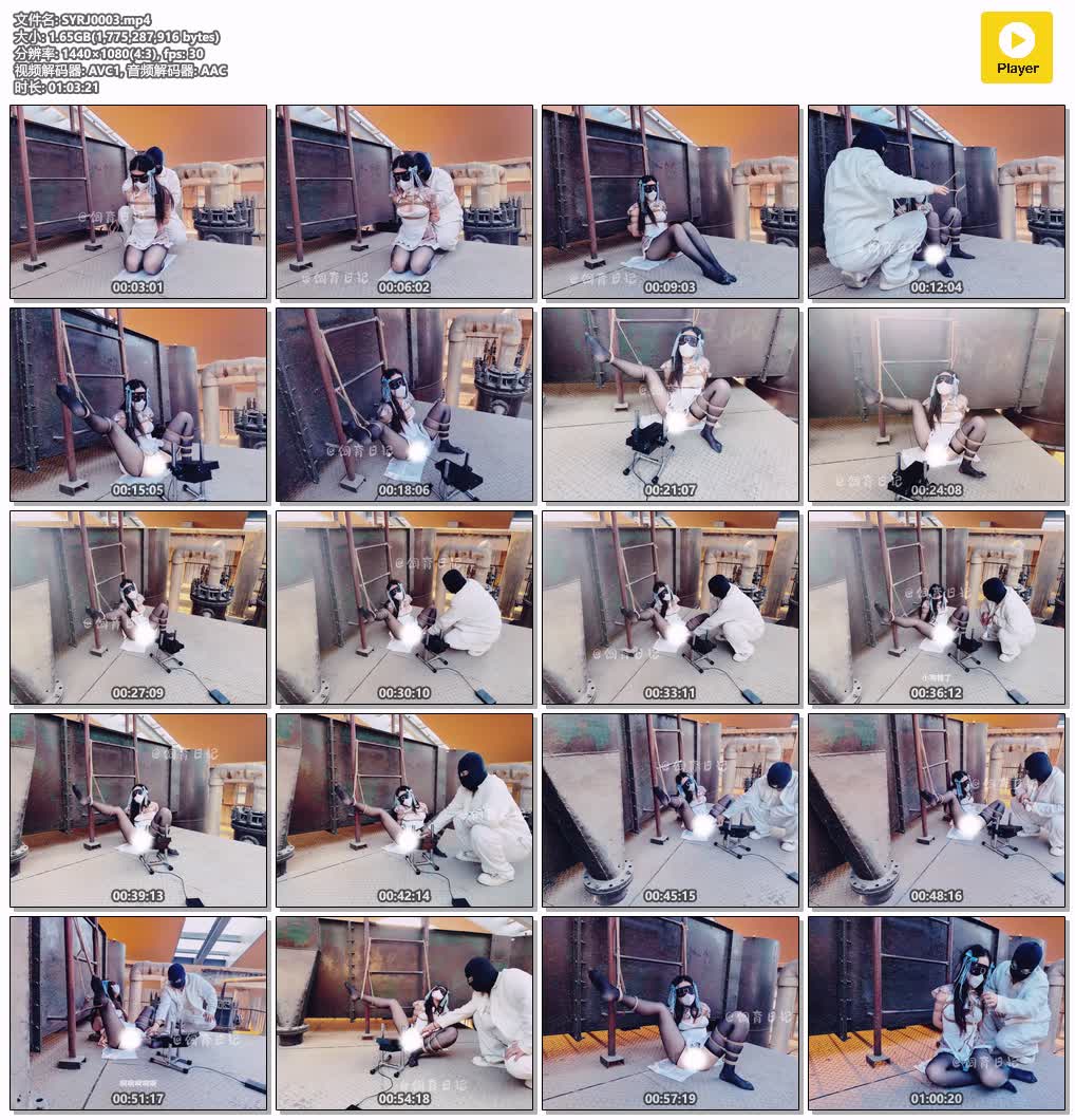 SYRJ0003【饲育日记】小狗の工业遗迹 机器的轰鸣已成过眼云烟 如今只剩小狗在歌唱.jpg