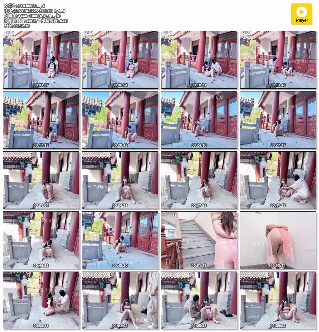 SYRJ0005【小狗の饲育日记】闹市古巷 车水马龙的大殿之旁 一只小狗正在被折磨.jpg