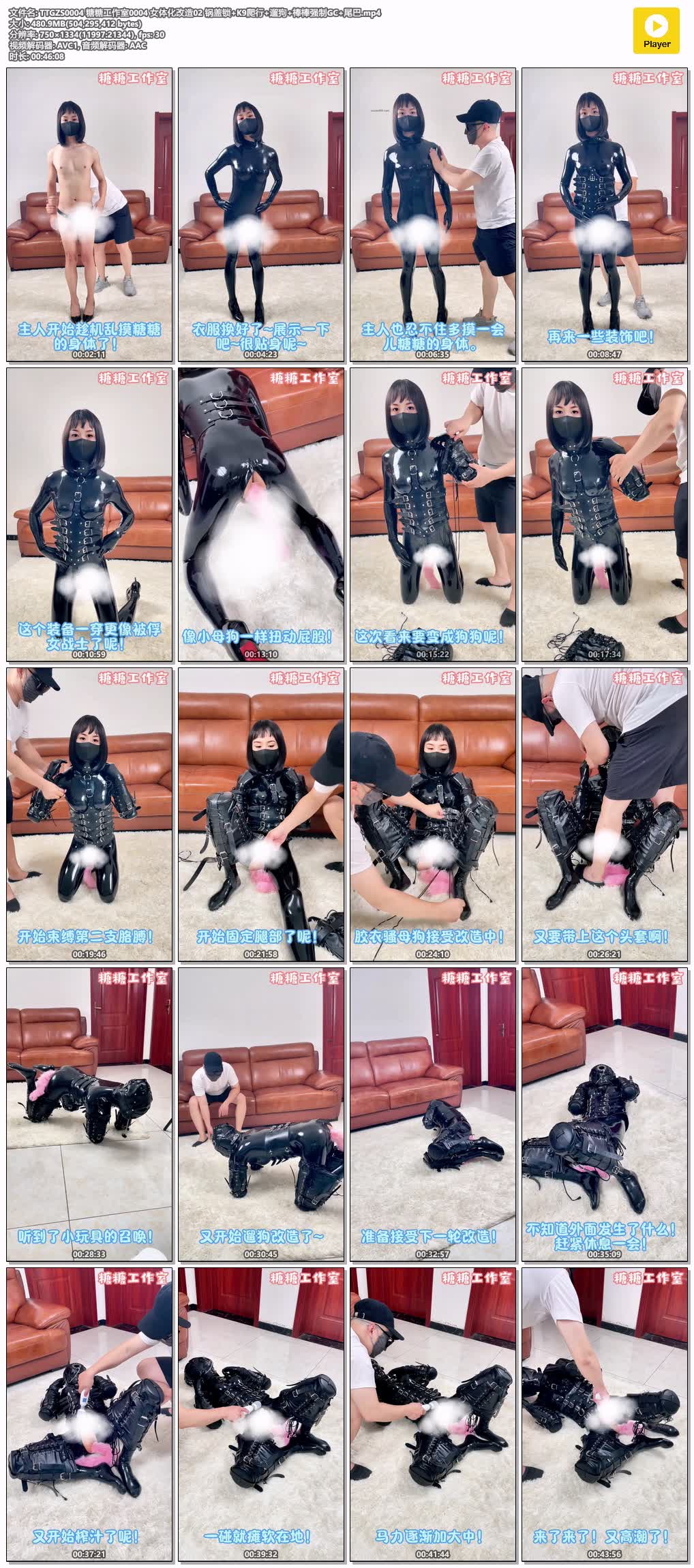 TTGZS0004【糖糖工作室】女体化改造第二番 锅盖锁 K9爬行 遛狗 棒棒强制GC 尾巴.jpg