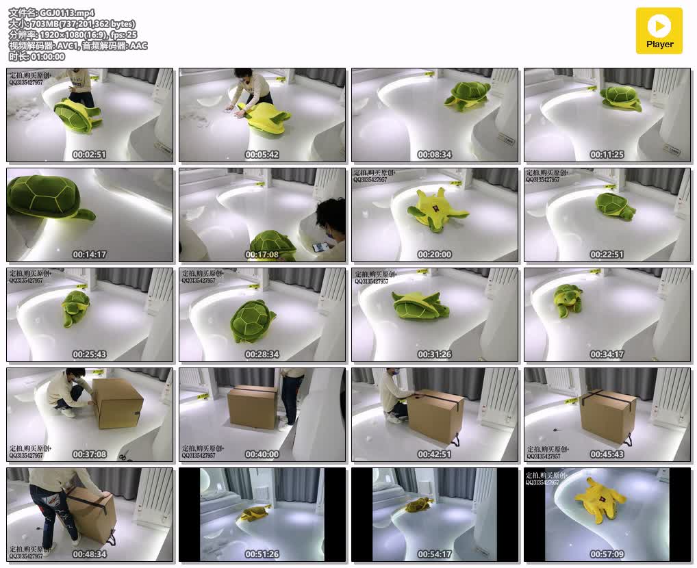 GGJ0113【咕咕精】茶茶小乌龟四肢折叠毛绒玩具拘束爬行 跳D装箱放置.jpg