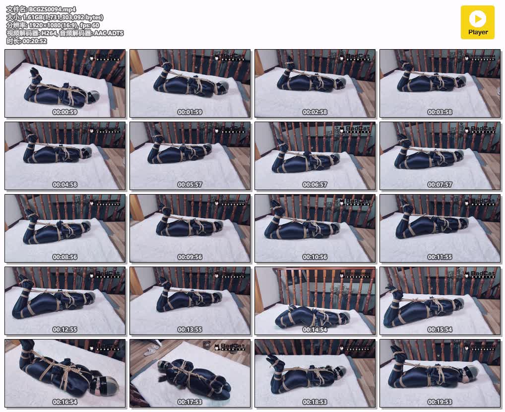 BCGZS0094【BadCat工作室】美麗的奮鬥 Beautiful Struggles.jpg