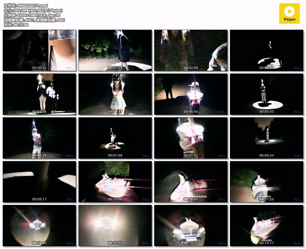 MNGZS0271【媚娘工作室】野外人形路灯 引擎盖驷马调教.jpg