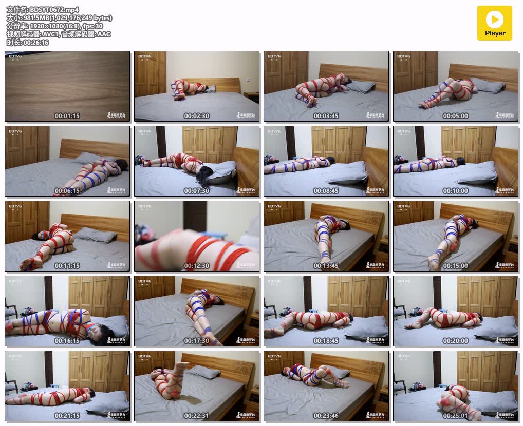 BDSYT0672【半岛束艺台】掉队的小老虎.jpg
