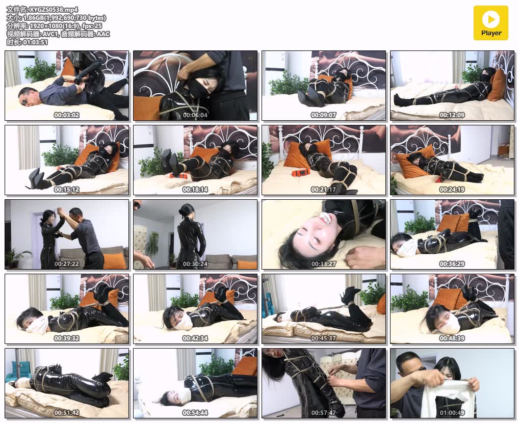 XYGZS0538【逍遥工作室】女搜查系列之老k的复仇.jpg