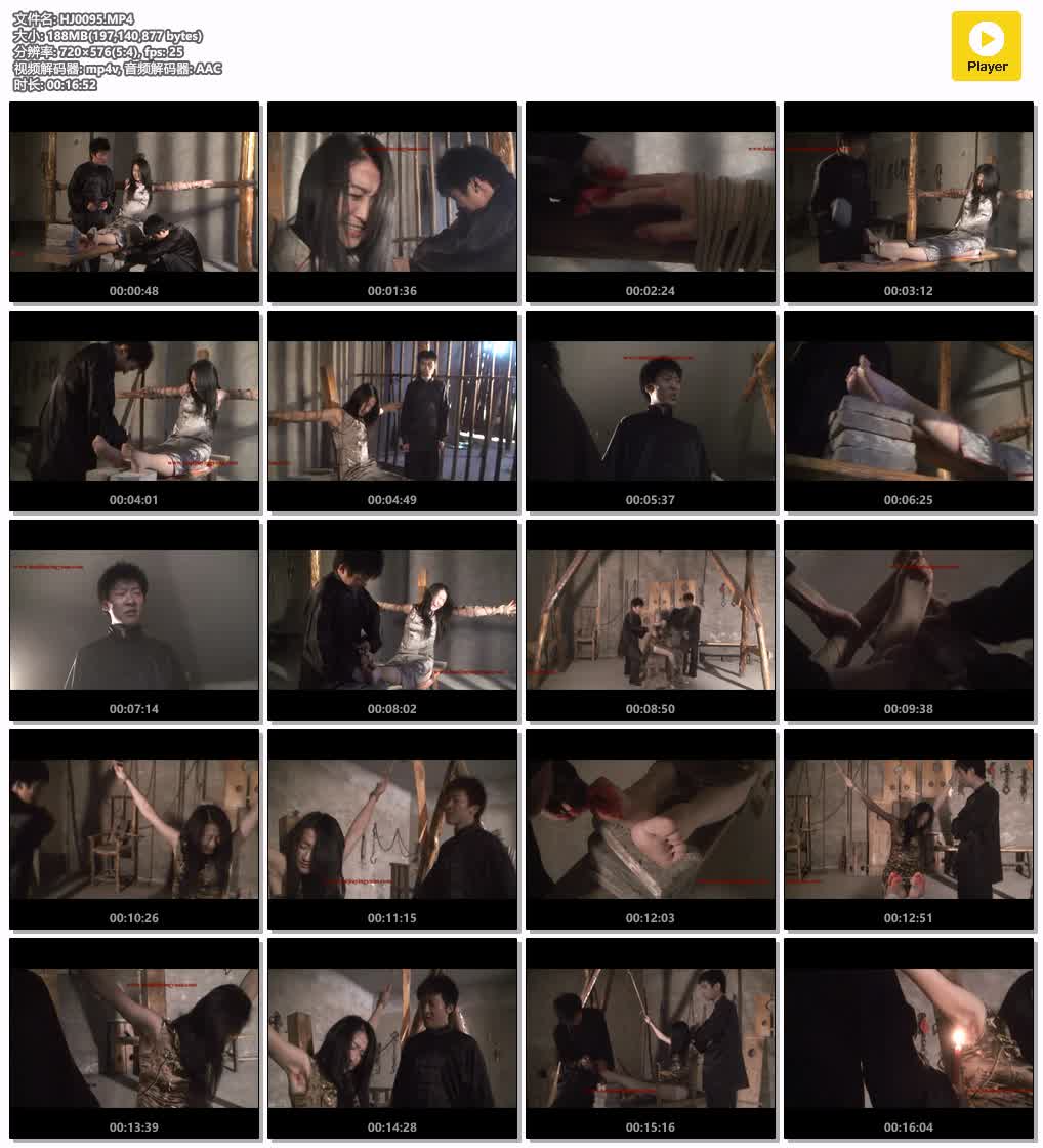 HJ0095【怀旧影苑】翱翔老虎凳.jpg