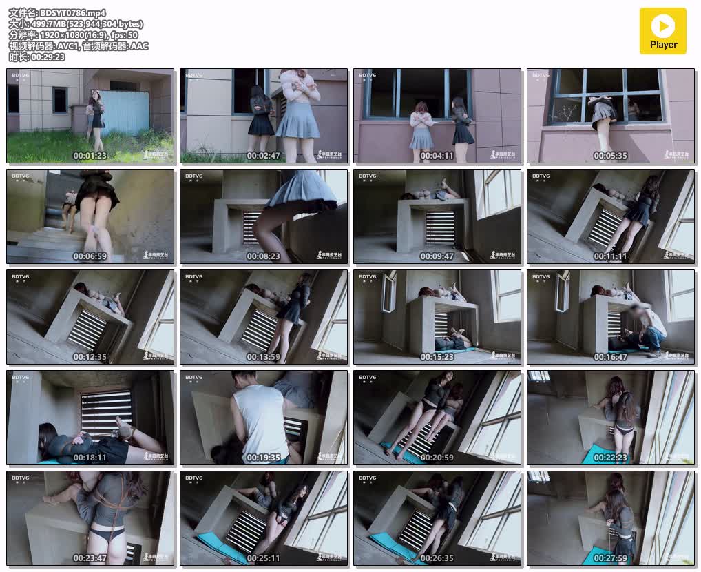 BDSYT0786【半岛束艺台】拉丁 布玛 如何在没有手的情况下爬窗户.jpg