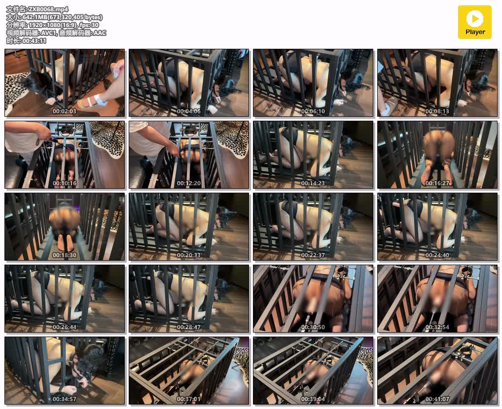 ZXB0068【zxbondage】情趣酒店探秘 第一集 K9牢笼P机.jpg